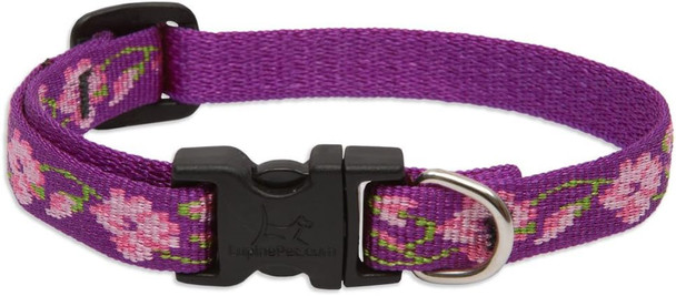 Lupinepet Originals 1/2 Rose Garden 8-12 Adjustable Collar For Small Dogs Lupinepet Originals 1/2 Rose Garden 8-12 Adjustable Collar For Small Dogs