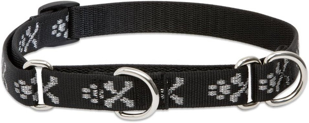 Lupinepet Originals 3/4 Bling Bonz 10-14 Martingale Collar For Small Dogs Lupinepet Originals 3/4 Bling Bonz 10-14 Martingale Collar For Small Dogs