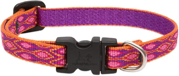 Lupinepet Originals 1/2 Alpen Glow 8-12 Adjustable Collar For Small Dogs Lupinepet Originals 1/2 Alpen Glow 8-12 Adjustable Collar For Small Dogs