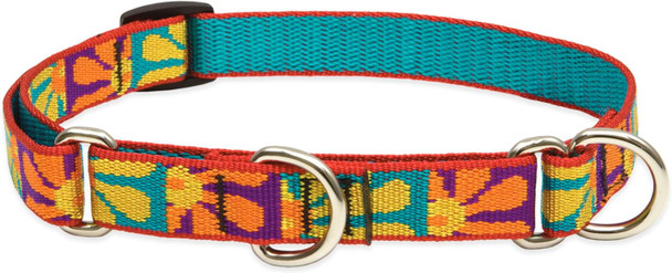 Lupinepet Originals 3/4 Crazy Daisy 10-14 Martingale Collar For Small Dogs Lupinepet Originals 3/4 Crazy Daisy 10-14 Martingale Collar For Small Dogs