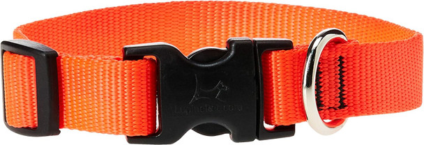 Lupinepet Basics 3/4 Blaze Orange 9-14 Adjustable Collar For Small Dogs