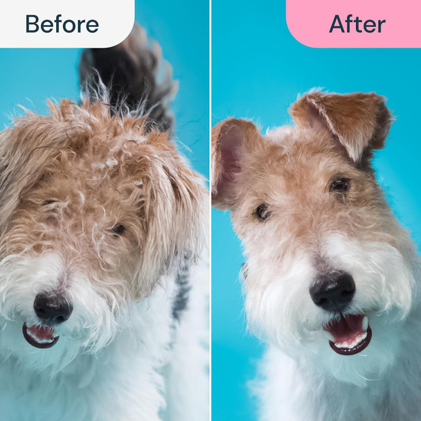 Malsipree Dog Grooming Brush For Shedding - 2 In 1 Deshedding Tool And Undercoat Rake For Long And Short Haired Dogs With Double Coat - Dematting Comb And Pet Hair Deshedder Supplies (Large, Blue)