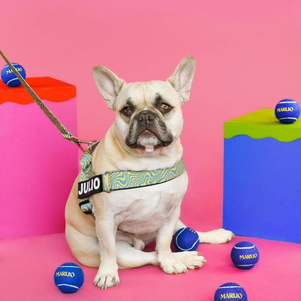 Marlio Dog Leash - Stylish, Comfortable, And Durable 5Ft Leash With Padded Handle And Polished Clasp - Green Tropical