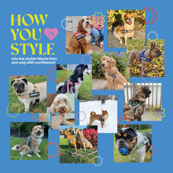 Marlio Dog Leash - Stylish, Comfortable, And Durable 5Ft Leash With Padded Handle And Polished Clasp - Green Tropical