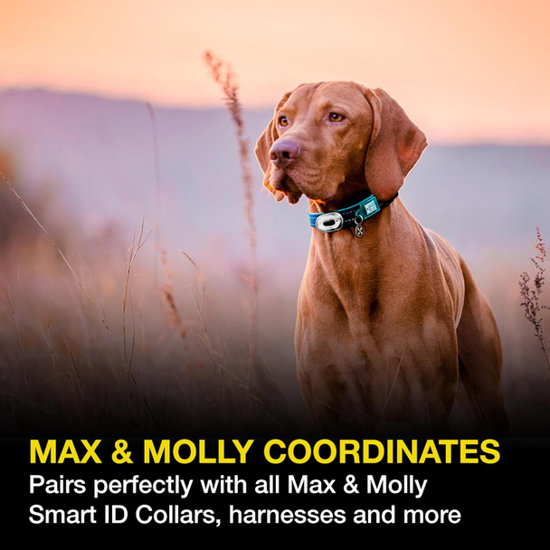 Max & Molly Led Dog Collar Light - Usb Rechargeable Safety Light For Night Walking, Running, Hiking