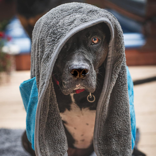 Messy Mutts Ultra Soft Microfiber Towel With Hand Pockets Super Absorbent Moisture Locking Soft, Durable Plush Microfiber Dog Towel Machine Washable Dog Shammy