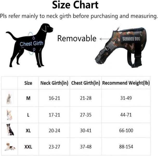 Bungee Dog Leash For Walking - 4-6Ft Heavy Duty Dog Leash With Highly Reflective Threads And Buffer For Medium And Large Dogs,Durable Car Seat Belt (Orange)