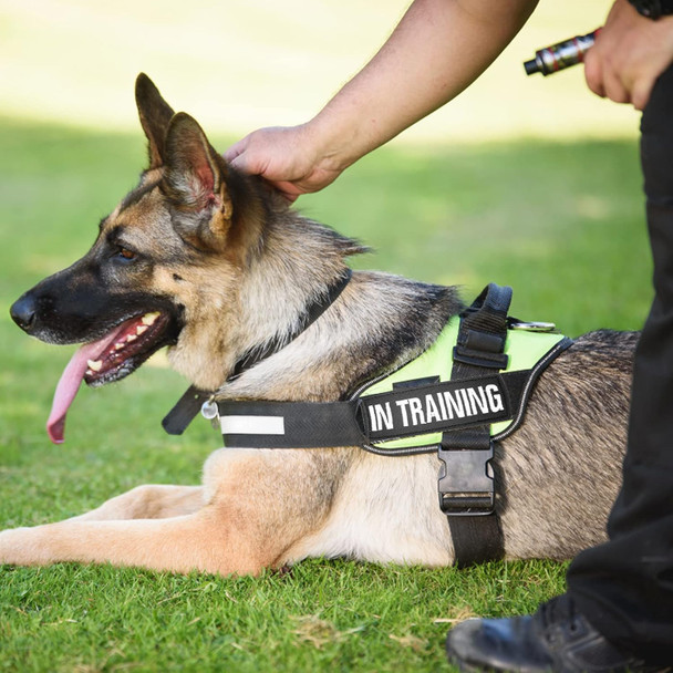 Embroidered Dog Vest Patches With Hook And Loop, 6Pcs Removable Tactical Black Hook And Loop Patch For Dog Harness Service Dog Badge In Training Embroidered Dog Vest Patches With Hook And Loop, 6Pcs Removable Tactical Black Hook And Loop Patch For Dog Harness Service Dog Badge In Training