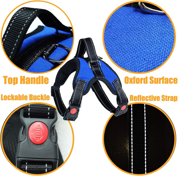 No Pull Dog Harness, Breathable Adjustable Comfort, Leash Included, For Small Medium Large Dog, Best For Training Walking Green Xs