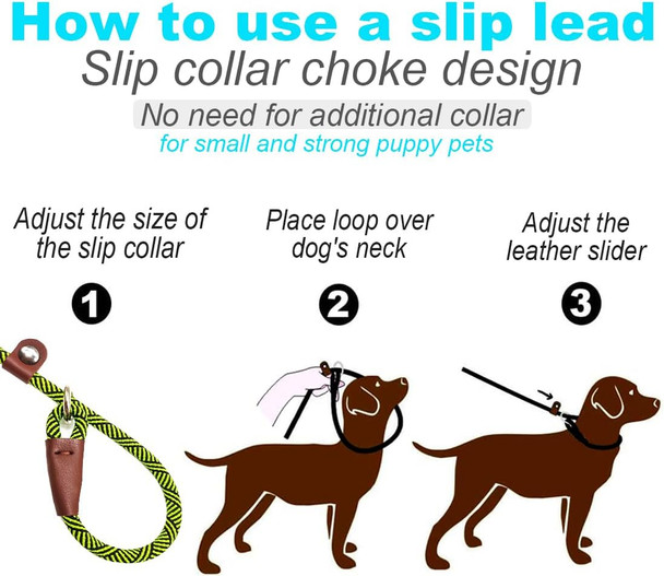 No Handle Dog Leash 3Ft/ 6Ft, Tether Training Leash Tie Down, Dog Extension Rope Great For Exercising, Bicycle And Outdoor, Running, Walking (3 Feet- Blue)
