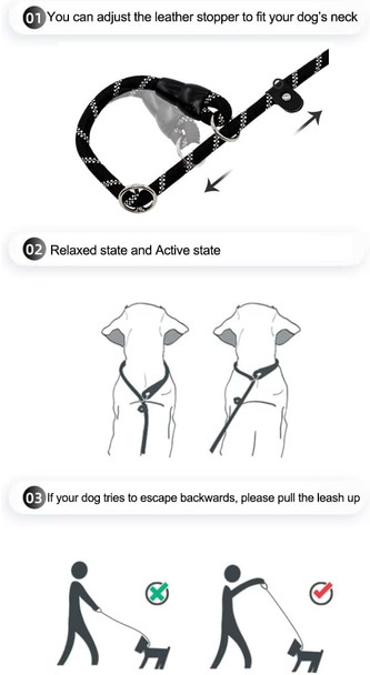 Dog Chain Leash With Choke Collar, 4Ft Metal Dog Leash Chew Proof Leash For Medium Large Dogs, Heavy Duty Dog Leash Chain Leash With Padded Handle Strong Chain Collar (Blue)