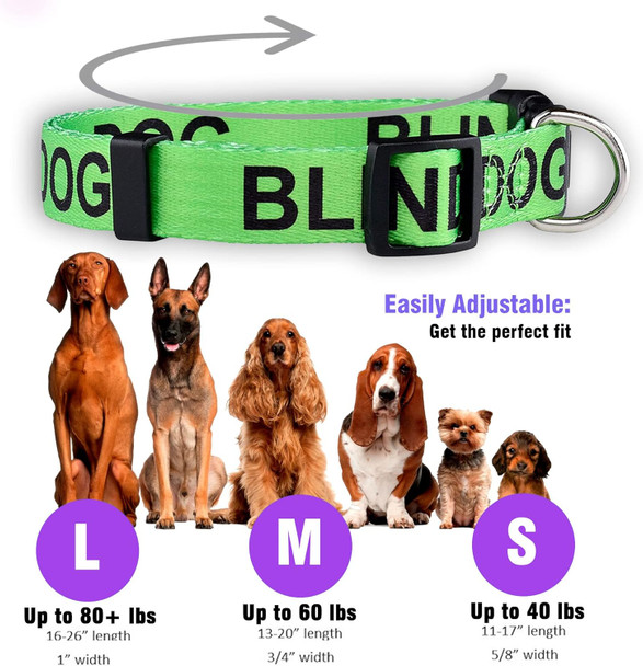 Native Pup Blind Dog Collar- Limited Sight Alert - Eye Catching Vibrant Green Color - Durable Nylon (Medium)