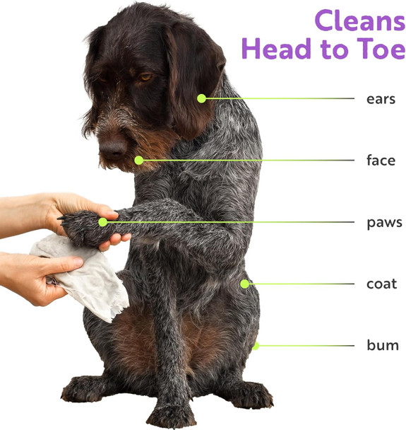 Wag Time Dog Wipes For Paws And Butt - 400 Ct Thick Plant-Based Cleaning And Deodorizing Cloth, Lavender With Chamomile, Aloe Vera, Vitamin E, B5, Oatmeal (Pack Of 1)