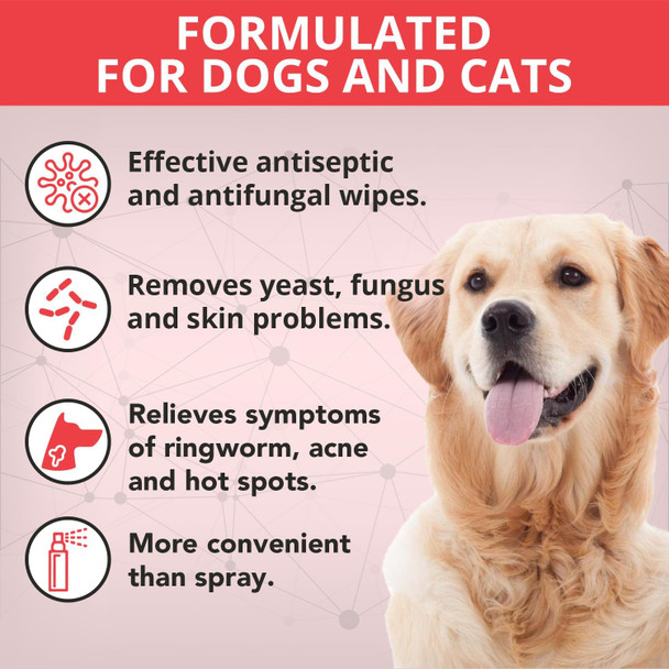 Noveha Xl Cleansing Wipes With Aloe For Cats And Dogs - Formulated Pet Wipes For Facial, Finger Folds, And Underarms - Extra Large Size (5.5 X 7) - 120 Count