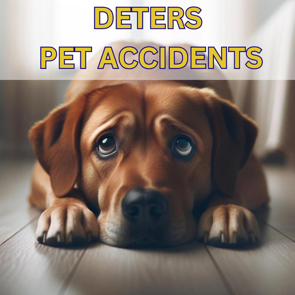 Hypoallergenic Powerful Floor Cleaner Degreaser With Enzymes - Removes Pet Odor, Deep Cleans Floors And Grout Safe For You And Your Family (1, Quarts) Hypoallergenic Powerful Floor Cleaner Degreaser With Enzymes - Removes Pet Odor, Deep Cleans Floors And Grout Safe For You And Your Family (1, Quarts)