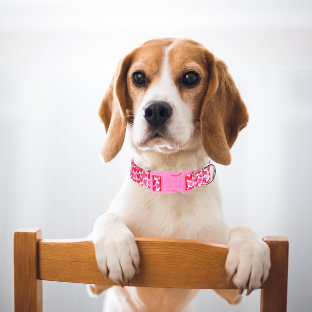 Pink Dog Collar For Medium Dogs With Love Heart Patterns For Girl & Boy Dogs, Cute Dog Collar Adjustable Heavy Duty Collar With Quick-Release Buckle, For Wedding, Valentine'S Day, Birthday (M)