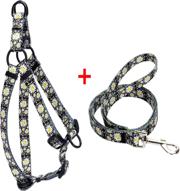 Dog Harness Collar Leash Set - No Pull Pet Adjustable Back Clip Halter Basic Collar Heavy Duty Leash For Extra Small Puppy Medium Large Breed Training Easy Walk Running (Daisy, S)