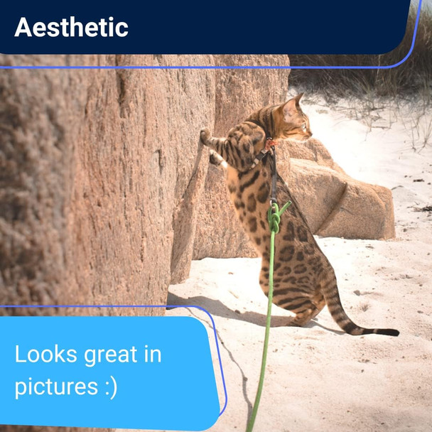 Long Rope Leash For Walking Small Pets 6Ft (Green) - Heavy Duty, Retractable Lead Rope For Pets, Cats, Small Dogs, Kittens, Puppies And Small Animals Long Rope Leash For Walking Small Pets 6Ft (Green) - Heavy Duty, Retractable Lead Rope For Pets, Cats, Small Dogs, Kittens, Puppies And Small Animals