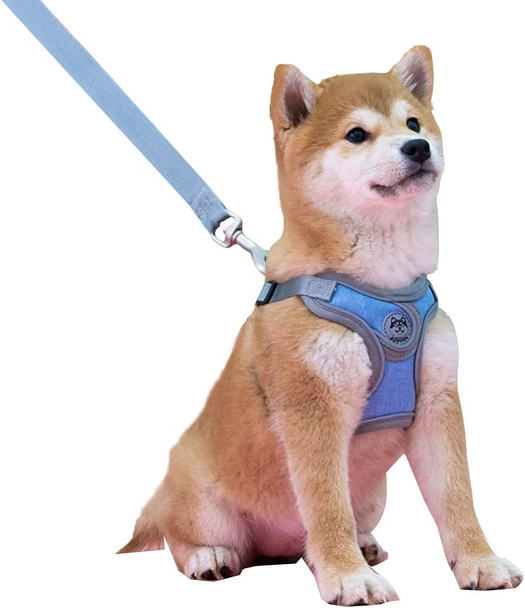 Step-In Dog Harness, Adjustable Reflective Small Dog Harness And Leash Set, Soft Air Mesh Vest Kit For Small Medium Breed Puppy And Cats (Xs, Blue)