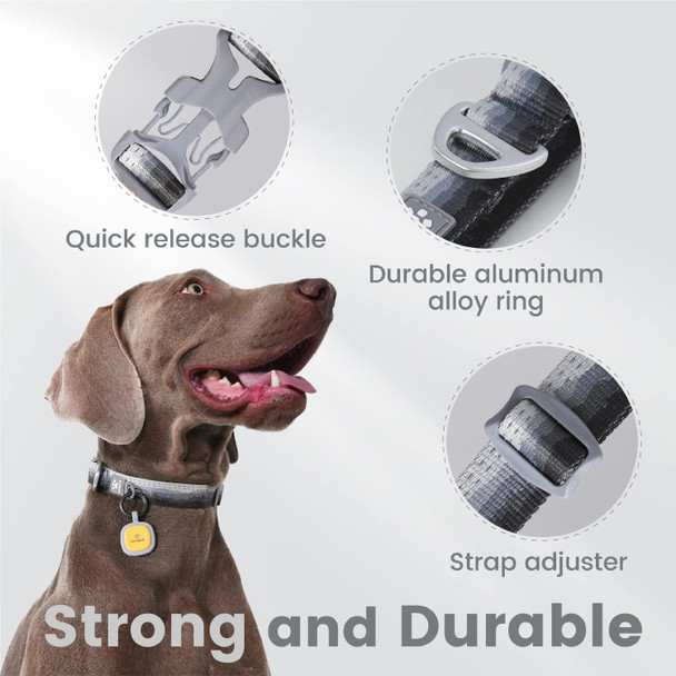 [Outlet] Pawaii Dog Collar And Leash Set, Personalized Dog Collar With Pet Id Tag And 6Ft Reflective Dog Leash, Dog Collar And Leash For Small Dogs Adjustable Size