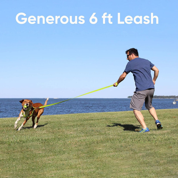 Pawtitas 6 Ft Pet Puppy Leash Reflective Dog Leash Comfortable Handle Highly Reflective Threads Heavy Duty Dog Training Leash Available As A 6 Ft Small Dog Black Leash