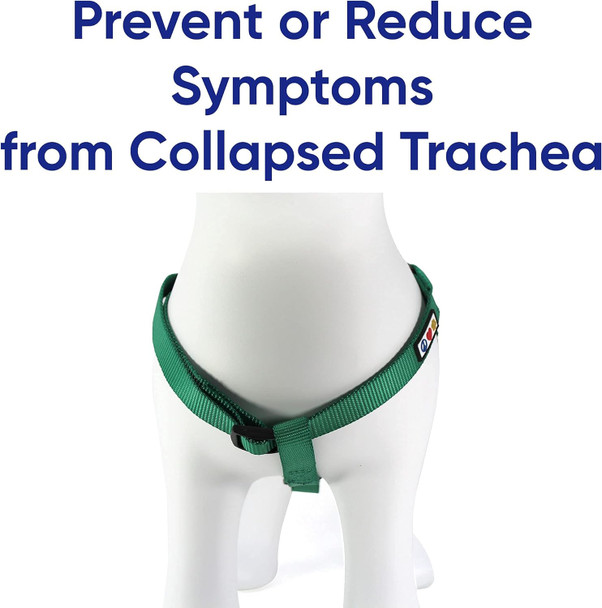 Pawtitas Value Bundle Set Step In Dog Harness + Small Dog Collar + Extra Small/Small 6Ft Dog Leash - Pink Set