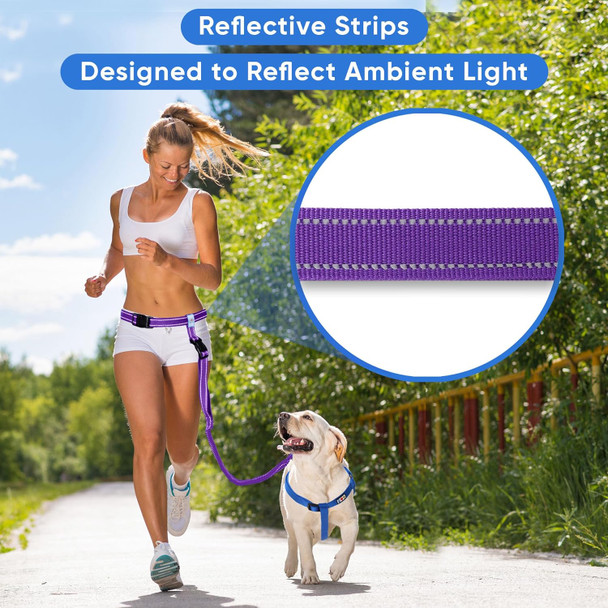 Pawtitas Hands Dog Leash Running Leash For Dogs Create A Pet Exercise Routine With The Dog Running Leash Hands Enjoy The Walking Or Jogging Accessory Bungee Dog Leash Purple Dog Leash
