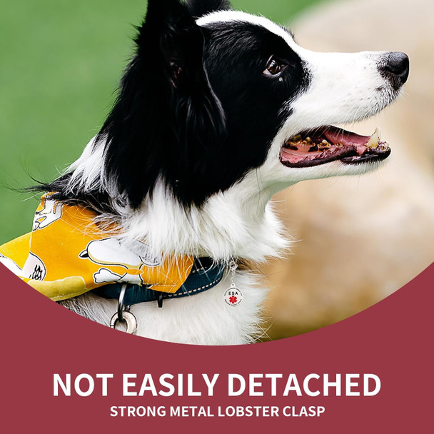Emotional Support Dog Esa Dog Tag Id Industrial Puppy Emotional Support Dog Tag Red Medical Alert Symbol And Protected By Federal Law Navy Lettering And Red Enamel Trim For Esa And Therapy Dogs