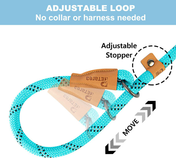 5 Ft Slip Lead Dog Leash, Heavy Duty Rope Leash For Small Medium Large Dogs, No Pull Training Lead With Reflective Thread, Strong Comfortable Loop Leash (Teal Stripe, Medium(3/8))
