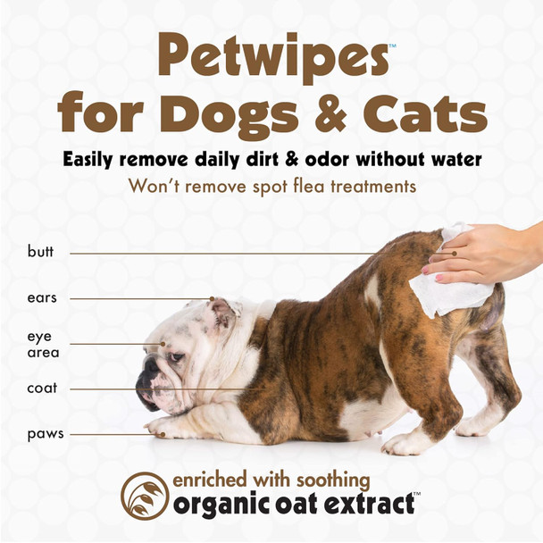 Petkin Pet Wipes For Dogs And Cats, Oatmeal, 100 Wipes (Large) For Dogs And Cats - Soothes Itchy Dry Skin And Cleans Ears, Face, Butt, Body And Eye Area - Idea For Home And Travel