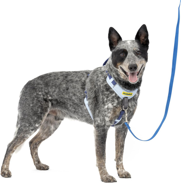 Petsafe Easy Walk Comfort No-Pull Dog Harness Full-Body Padding - Better Walks On The First Use - 5 Points Of Adjustment Medium/Large, Blue