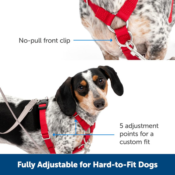 Petsafe Sure-Fit Harness – Five Point Adjustable Dog Harness – From The Makers Of The Easy Walk Harness – Medium, Red