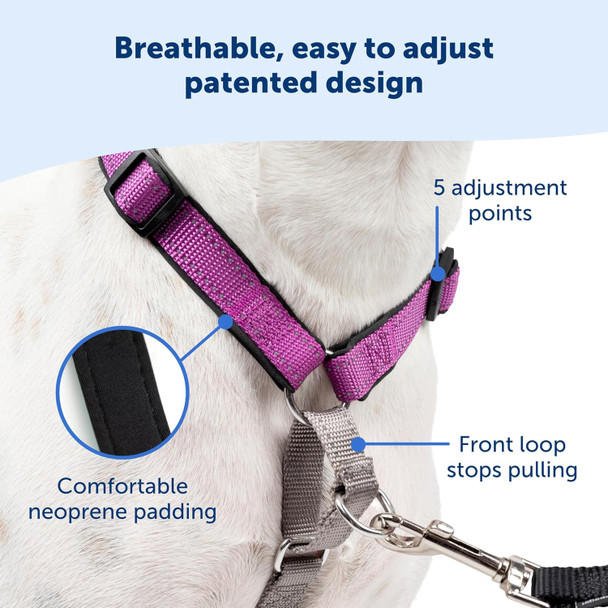 Petsafe Gentle Leader No-Pull Dog Headcollar - The Ultimate Solution To Pulling - Redirects Your Dog'S Pulling For Easier Walks - Helps You Regain Control - Medium, Black