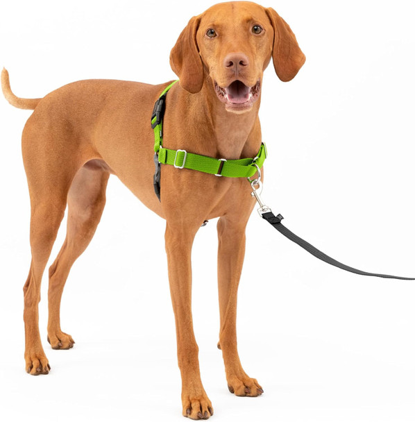 Petsafe Easy Walk Dog Harness - No Pull Dog Harness - Medium, Apple Green