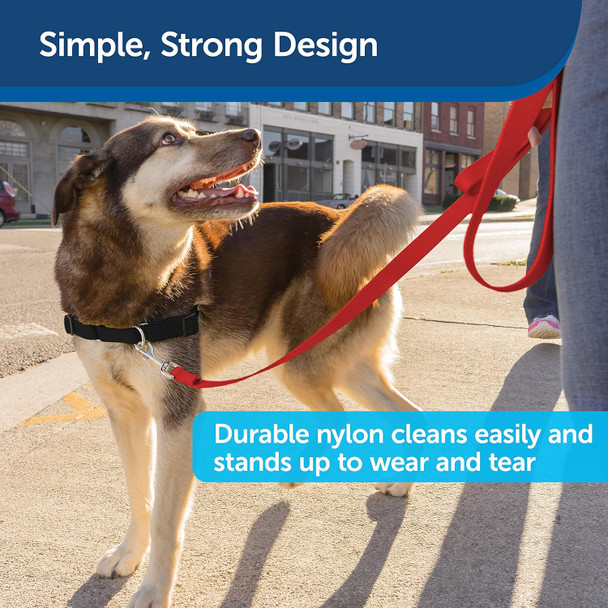 Petsafe Nylon Dog Leash – Strong, Durable, Traditional Style Leash With Easy To Use Bolt Snap For Small, Medium And Large Dogs – 3/4 X 4', Black