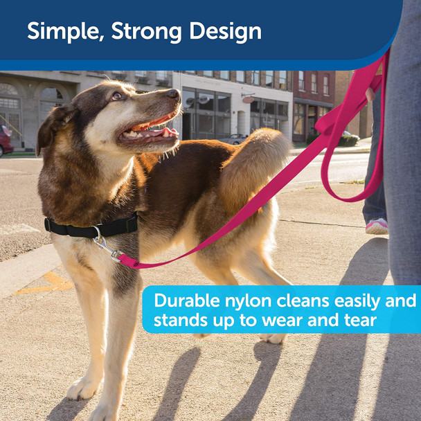 Petsafe Nylon Dog Leash - Strong, Durable, Traditional Style Leash With Easy To Use Bolt Snap - 1 In. X 4 Ft., Royal Blue