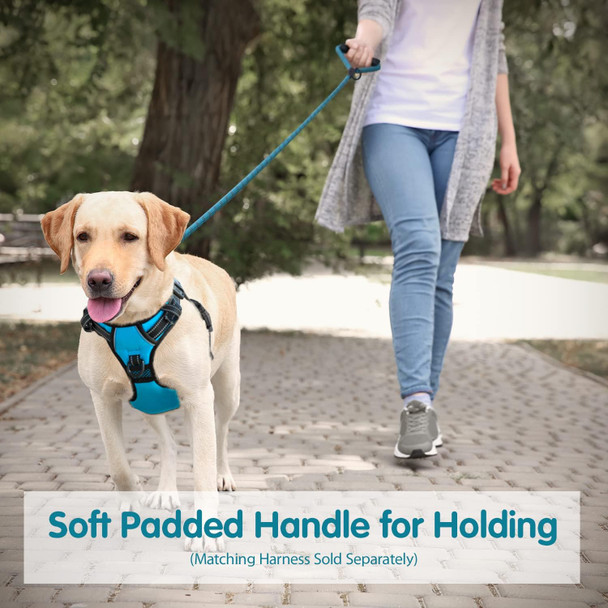 Phoepet 5 Feet Dog Leash Reflective Heavy Duty Padded Rubber Handle 360° No Tangles For Small Medium And Large Dogs(Teal)