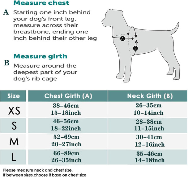 No Pull Dog Harness For Easy Walk, Floral Pattern Female Safety Nylon Training Collar For Small, Medium, And Large Dogs (Xs, Roses)