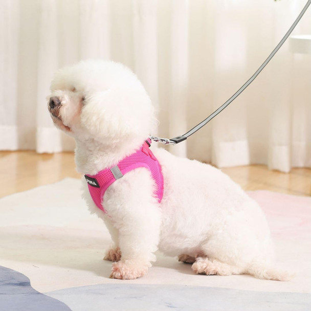 Pina Dog Harness For Small Dogs No Pull, Small Dog Harness And Leash Set, No Choke Breathable Mesh Dog Vest Harness, Lightweight Adjustable Small Medium Dog Harness - Easy To Put On And Take Off