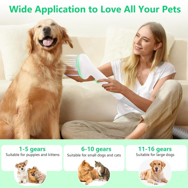 Dog Grooming Vacuum Blow Dryer And Clippers, Pet Grooming Kit With 2L Large Capacity Dust Box, 5 Pieces Grooming Tools For Dogs And Cats,Green Dog Grooming Vacuum Blow Dryer And Clippers, Pet Grooming Kit With 2L Large Capacity Dust Box, 5 Pieces Grooming Tools For Dogs And Cats,Green