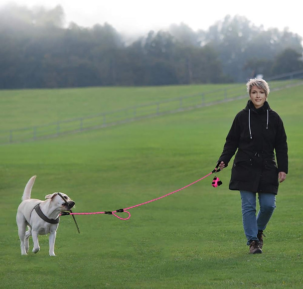 Plutus Pet Double Handle Dog Leash 6Ft, Heavy Duty, Reflective Dual Handle Dog Leash For Safety Training, For Medium Large Dogs,2 Handle Leads(Brown)