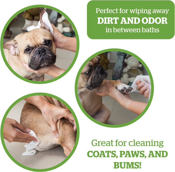 Pogi'S Grooming Wipes Home & Travel Bundle - 100-Count Grooming Wipes For Home And 240-Count Packs For Travel