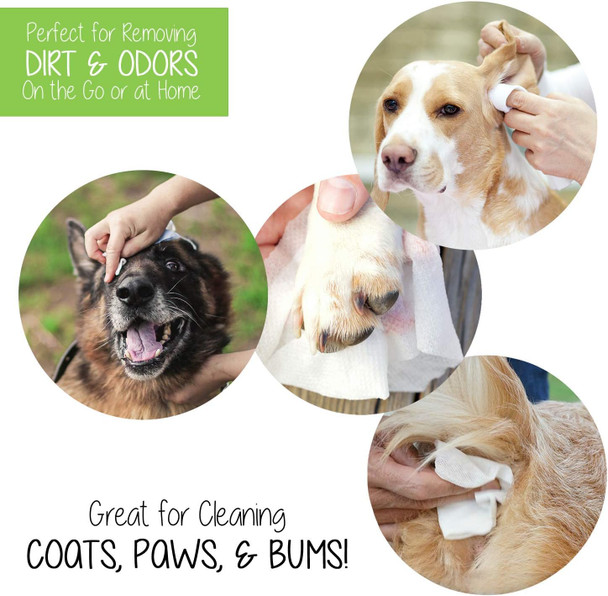 Pet Wipes (120 Count) - Extra Gentle Deodorizing Dog Grooming Wipes With Aloe Vera And Vitamin E, Alcohol - Fresh Scent (Statements)