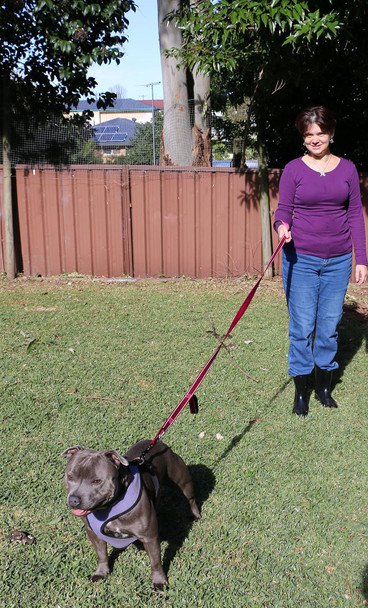 Dog Leash 6Ft Long,Traffic Padded Two Handle,Heavy Duty,Reflective Double Handles Lead For Control Safety Training,Leashes For Large Dogs Or Medium Dogs,Dual Handles Leads(Pink)