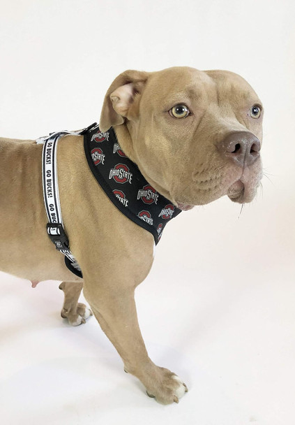 Ohio State Osu Logo Reversible Pet Harness