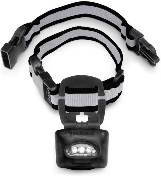 Twice As Bright With Reflective Dog Safety Collar, Black