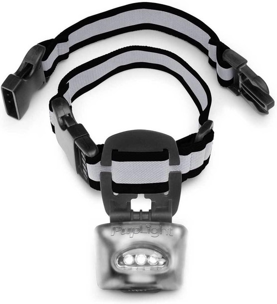 Twice As Bright With Reflective Dog Safety Collar, Black