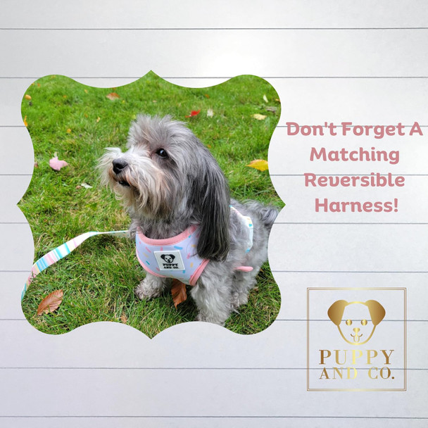 Cute 5Ft Dog Leash, Stylish Nylon With Padded Handle For Everyday Walking & Comfort – For Small, Medium, Large Xl Breed Dogs – Pet Accessories By Puppy And Co (Sprinkles)