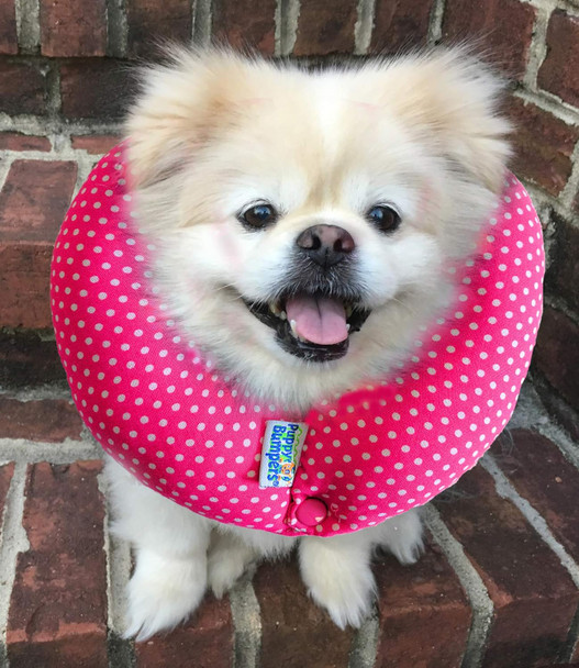 Pink Dots Up To 10- Made In Usa 100% Cotton Stuffed Safety Fence Collar To Keep Your Pet Safely On The Right Side Of The Fence.