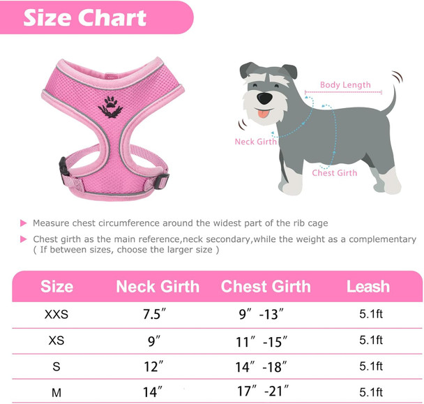Pupteck Soft Mesh Dog Harness And Leash For Small Medium Dogs Reflective No Pull Vest Harness For Puppy Cats Outdoor Walking